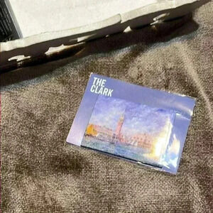 NWT Venice painted by Renoir Magnetic - free with any purchase